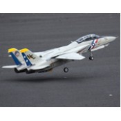 Freewing F-14 Tomcat Twin 80mm EDF Jet